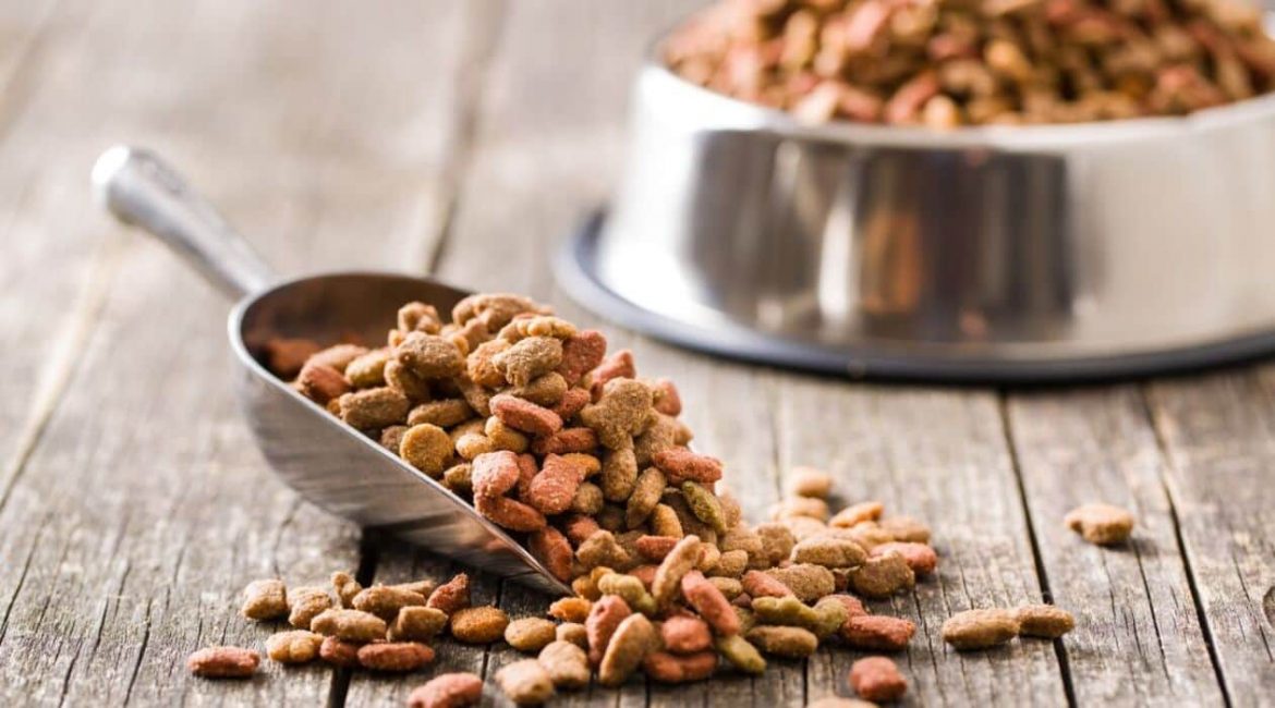 Croquettes de France