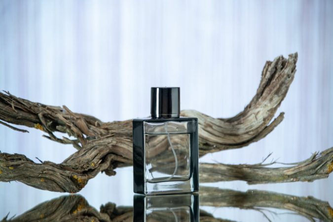 Flacon de parfum élégant en verre transparent posé devant une branche de bois flotté noueuse sur une surface réfléchissante.